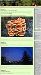 Mobile Screenshot of moosyversum.de