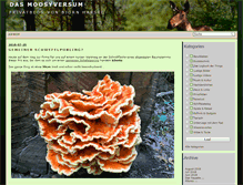 Tablet Screenshot of moosyversum.de